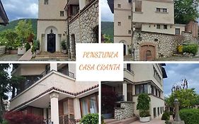 Pensiunea Casa Cranta